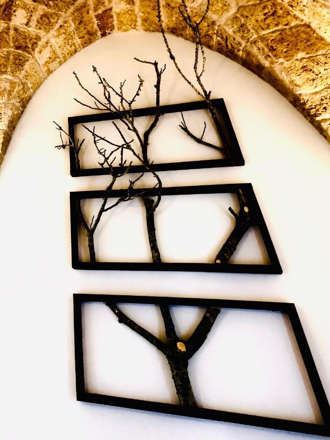 加利亚诺德尔卡波Anna 1924住宿加早餐旅馆 外观 照片